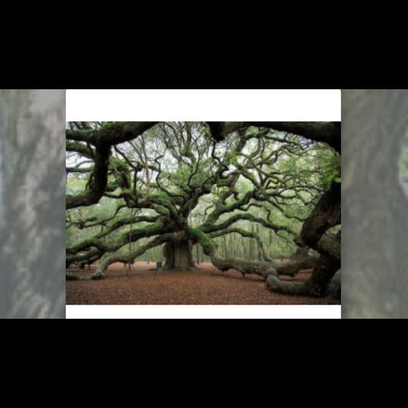 Meet your Posher, Chris - Picture 1 of 1